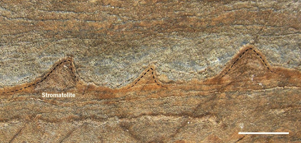 Billion-year-old rocks reveal traces of ancient life