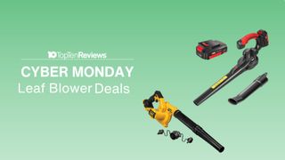 Cyber Monday leaf blower deals 