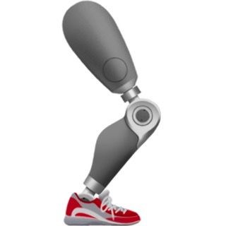 prosthetic leg