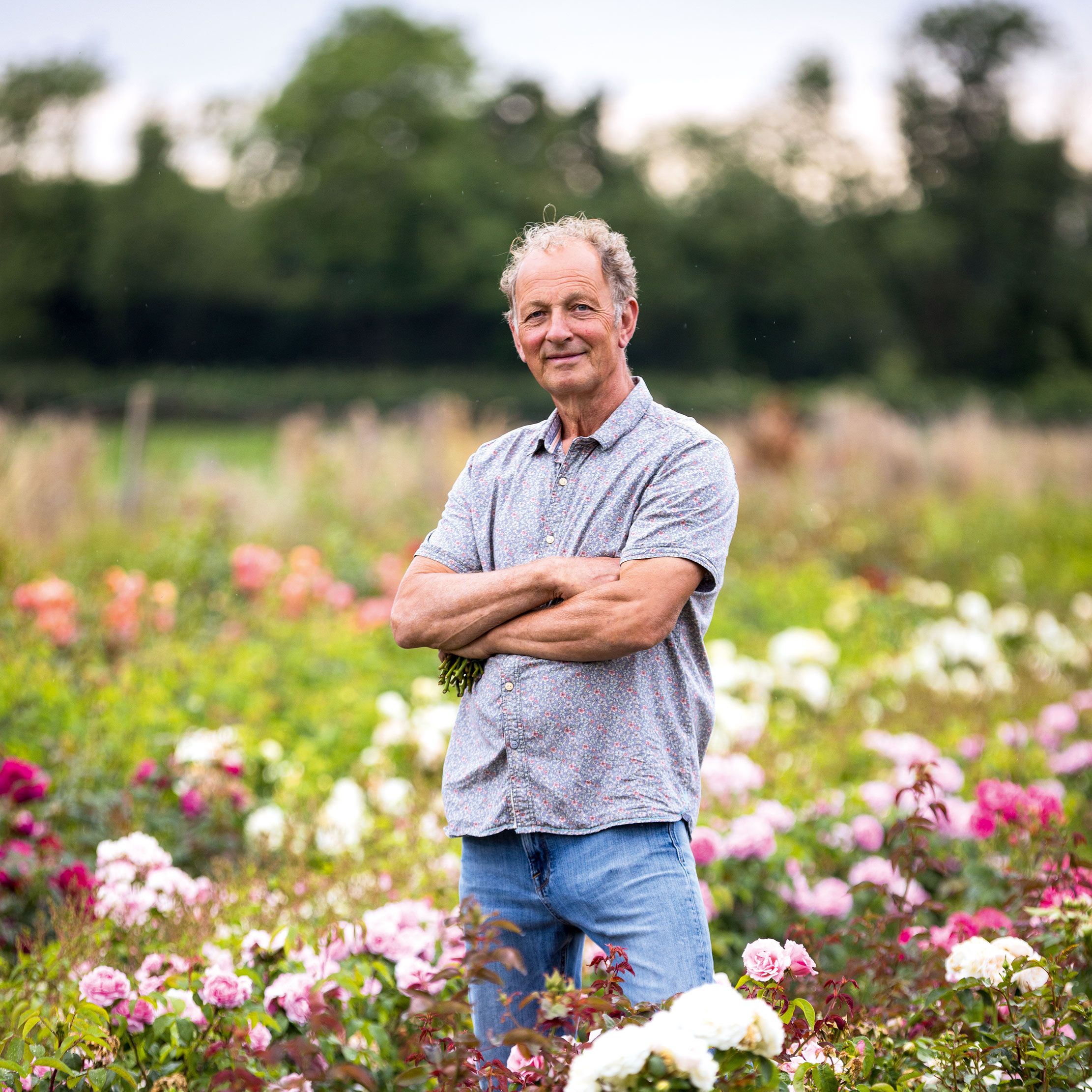 'I was utterly bewitched': The heartwarming success story of one of Britain's greatest rose-growers