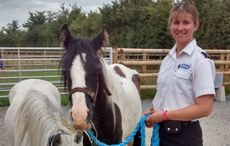 Suzi-and-May-Hill-horses-12.jpg