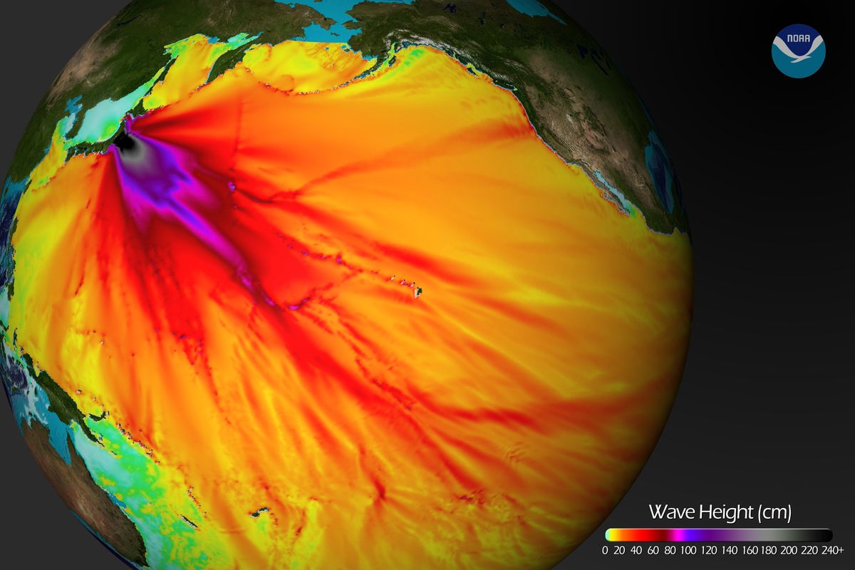 Japan tsunami wave heights