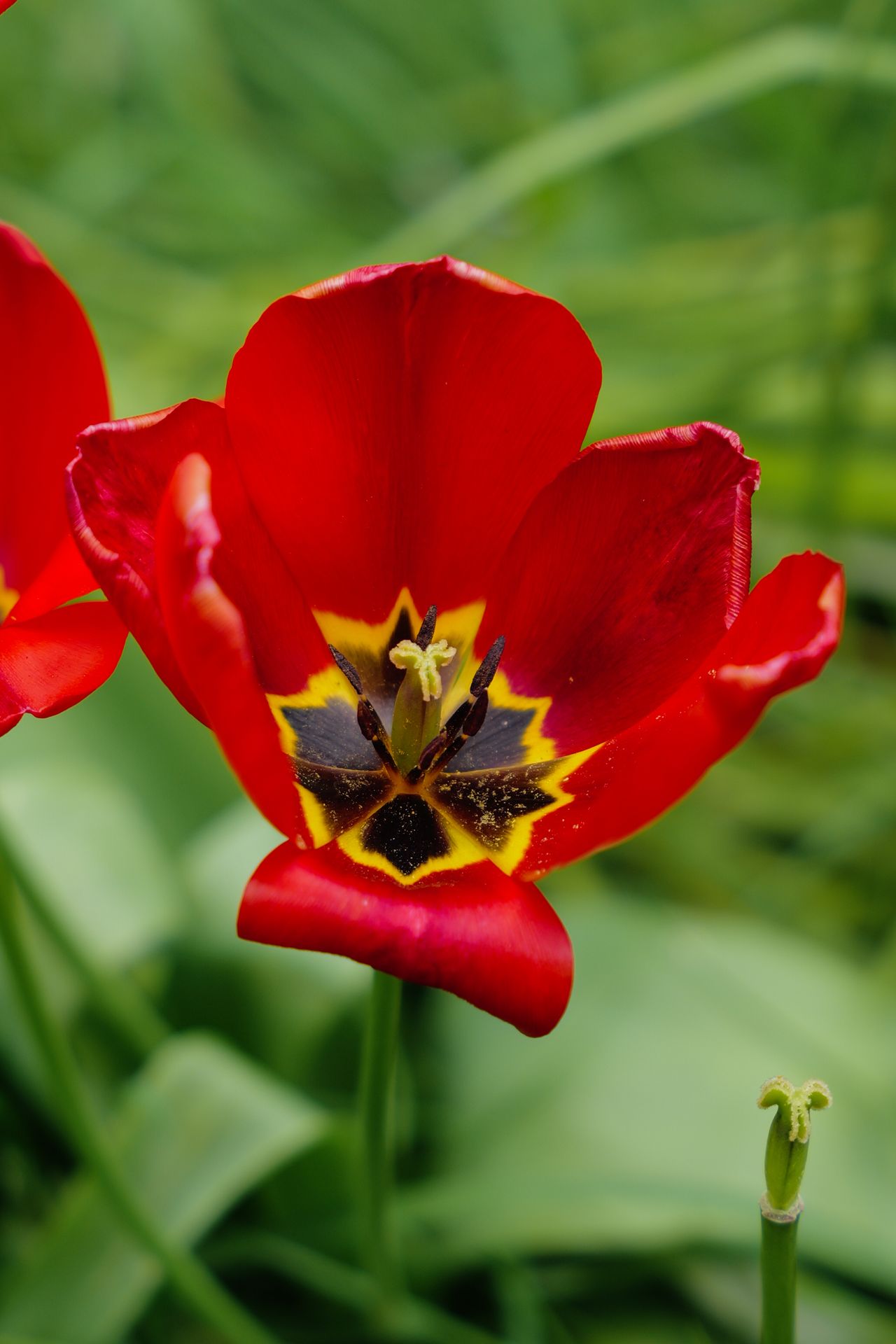 A photo taken on a Leica SL3-S mirrorless camera
