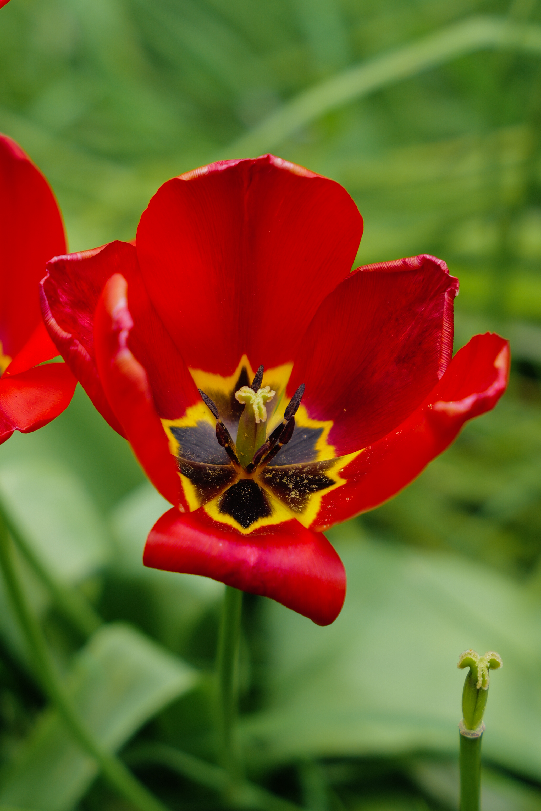 A photo taken on a Leica SL3-S mirrorless camera