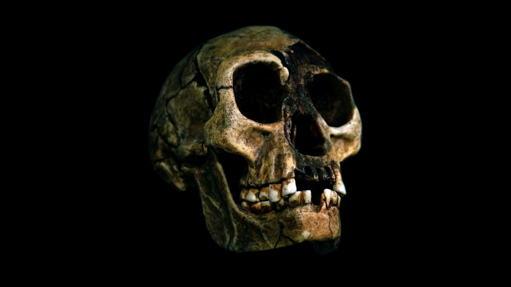 Identity of mysterious 'Hobbits' possibly found