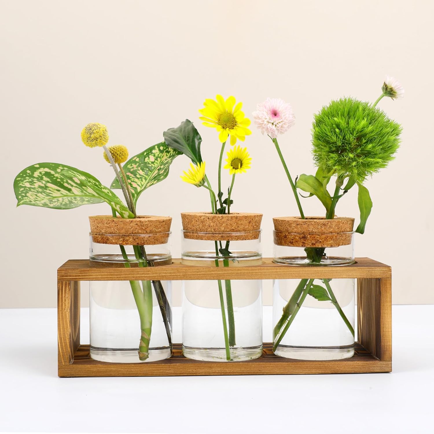 Pechaut Propagation Stations, Plant Terrarium for Indoor Hydroponic Decor, Glass Planters for Fresh Cuttings, Unique Birthday Gifts for Women &amp;amp; Mom, Home/office Decor