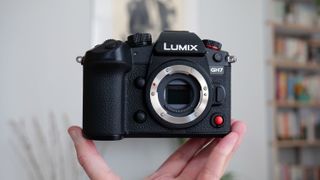 Panasonic Lumix GH7