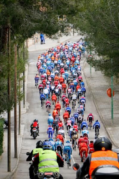 The peloton was together for the first 5kms all the way to Santa Ponsa.