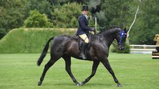 ELUSIVE_Hickstead-Derby_PN18_40915_209248091_286080202.jpg