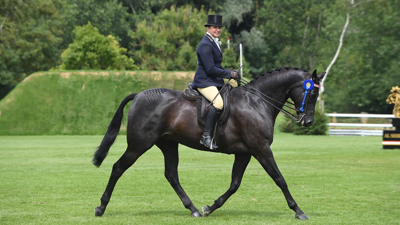 ELUSIVE_Hickstead-Derby_PN18_40915_209248091_286080202.jpg