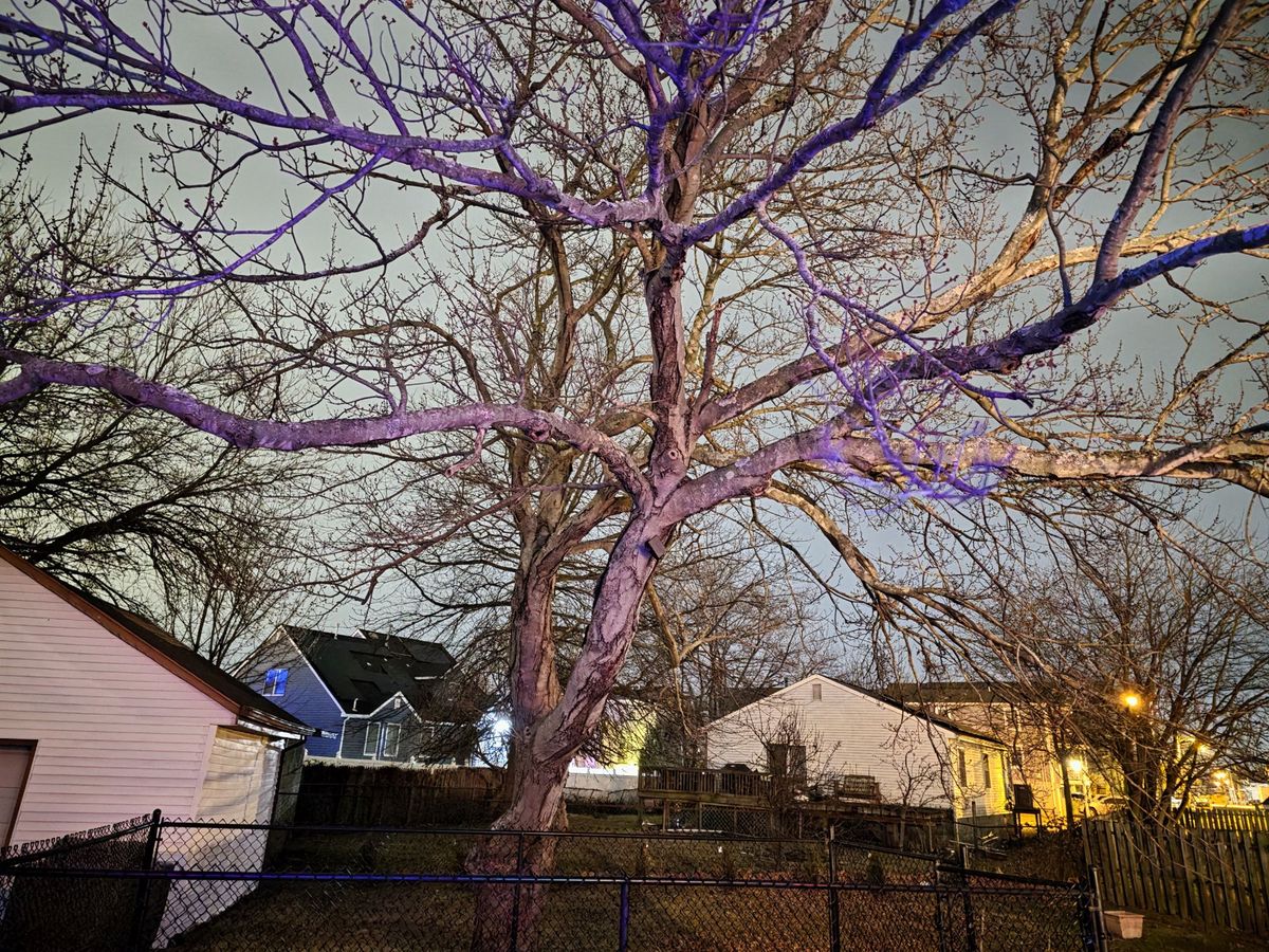 Samsung Galaxy S25 Ultra low light sample.