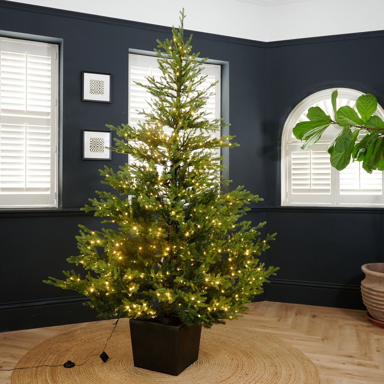 John Lewis Cotswold 7ft Potted Pre-lit Christmas Tree set up in a black-painted living room