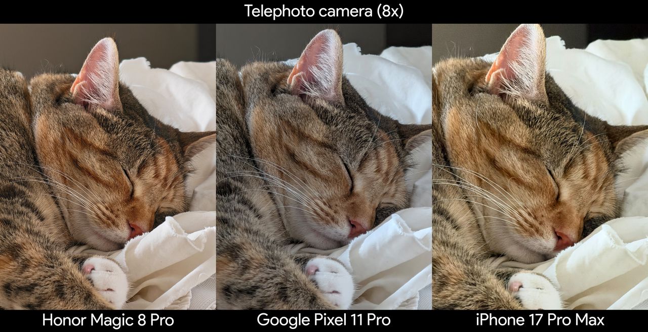 Comparing telephoto camera shots between the Google Pixel 11 Pro, iPhone 17 Pro Max, and Honor Magic 8 Pro
