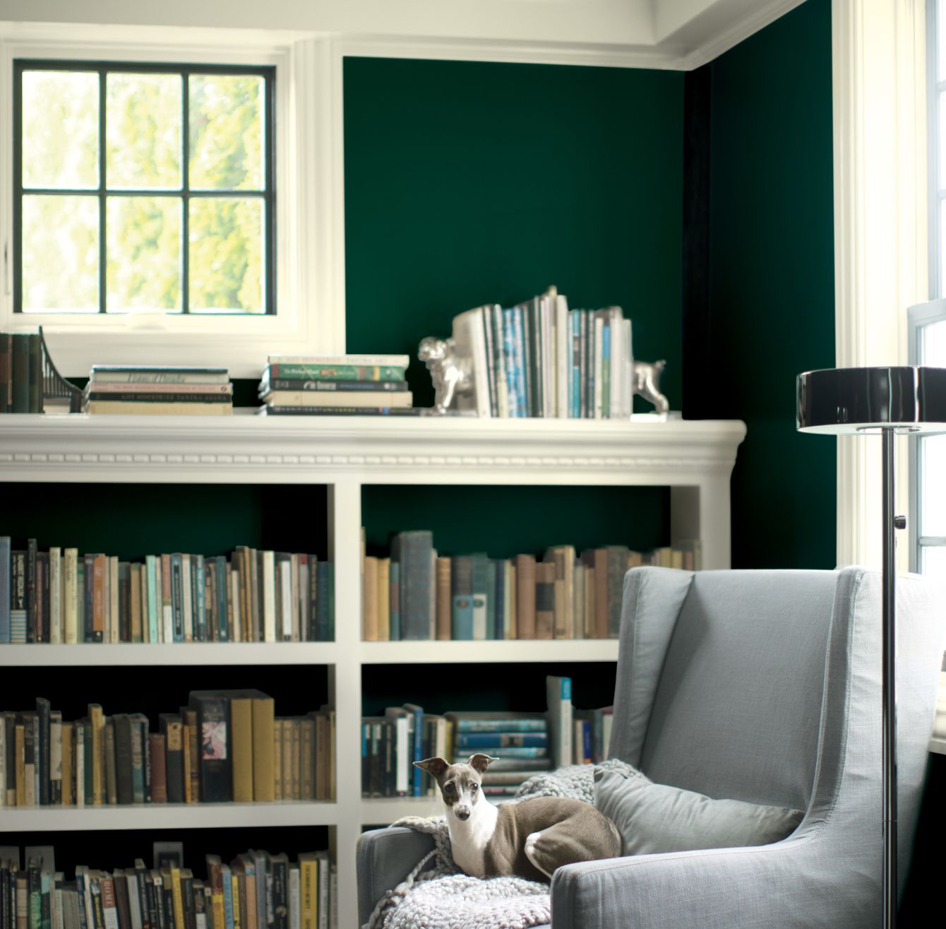 Benjamin Moore Hunter
