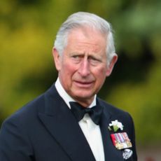 Prince Harry wears a suit featuring his military medals while his father King Charles wears a tuxedo