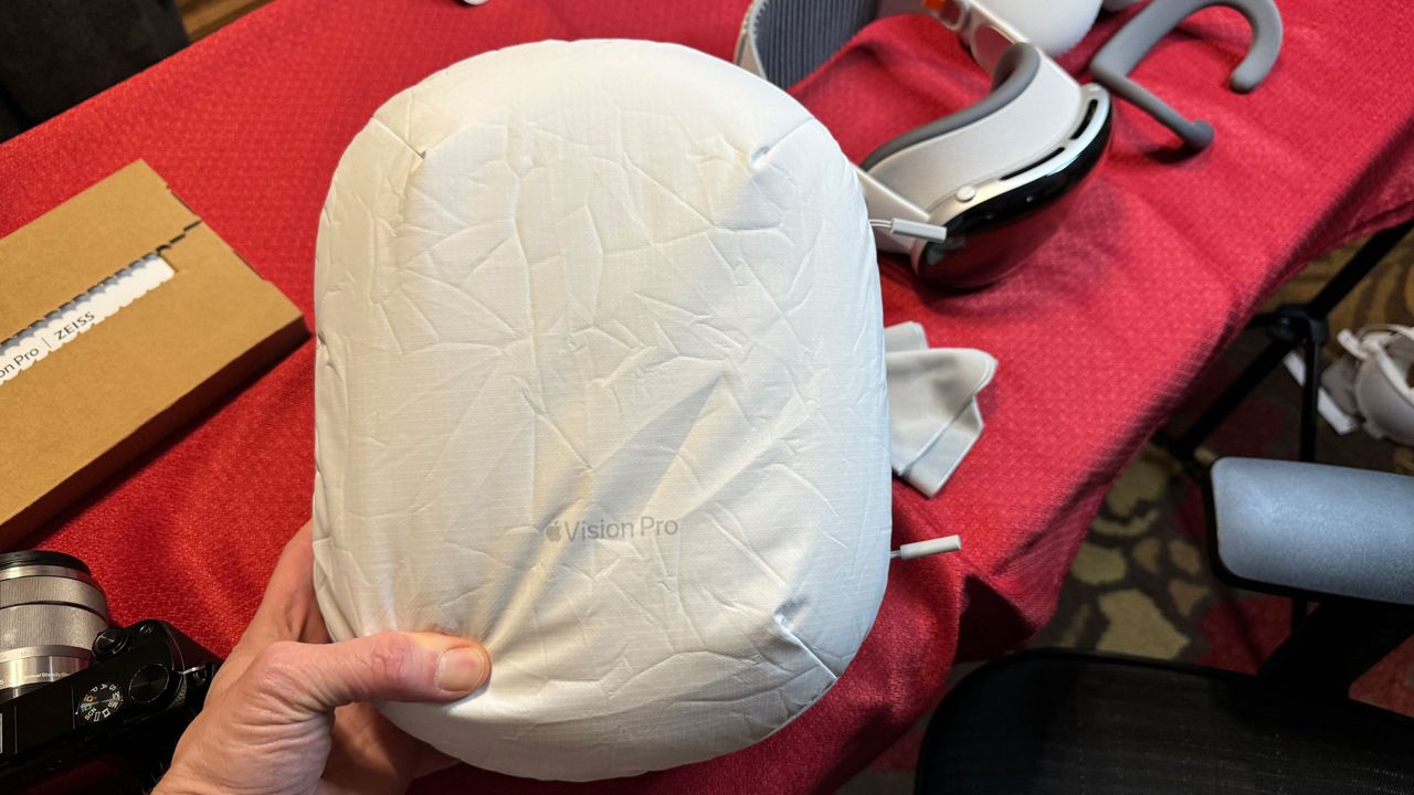 Apple Vision Pro carrying case