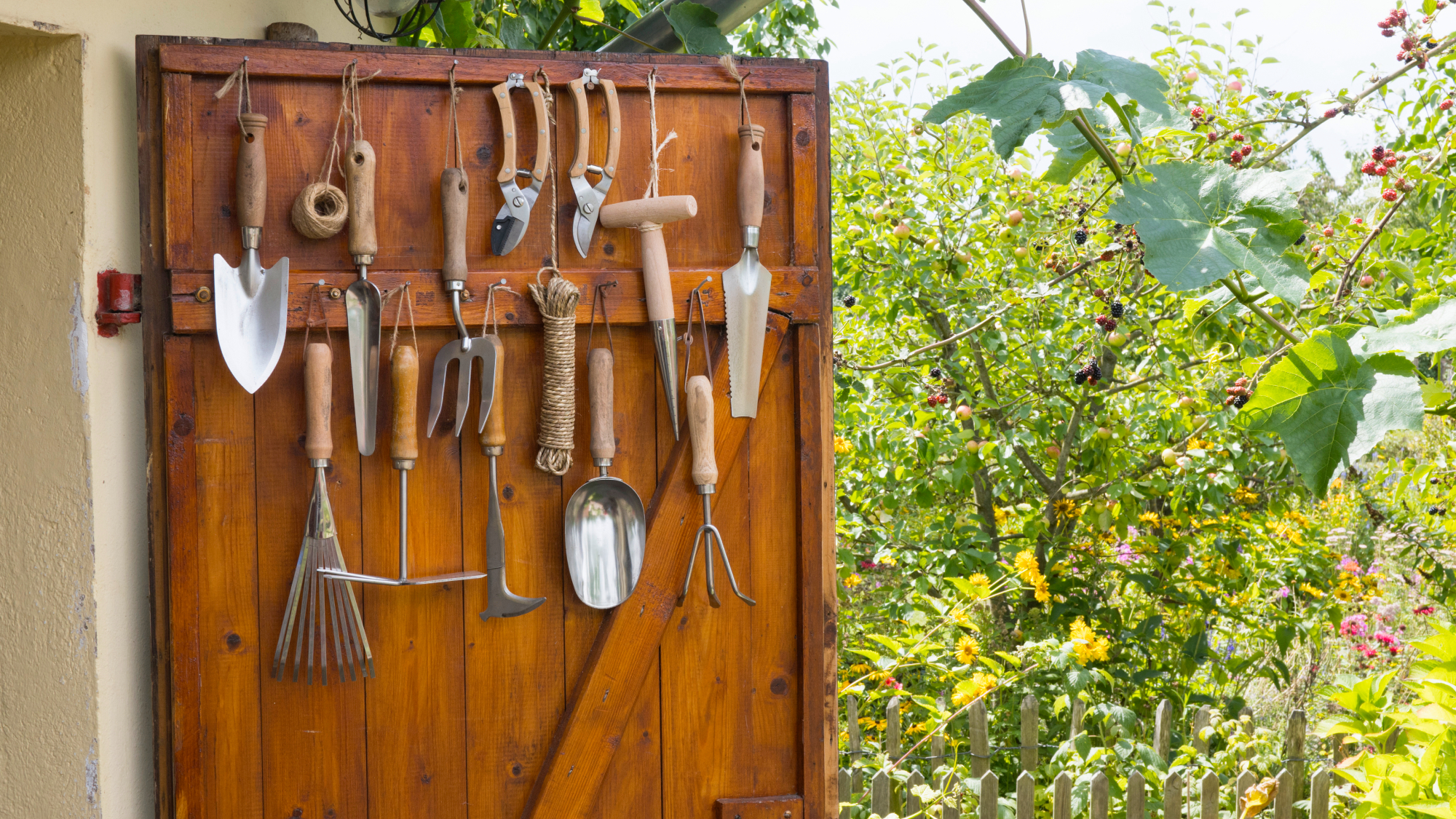 gardening tools in a shed