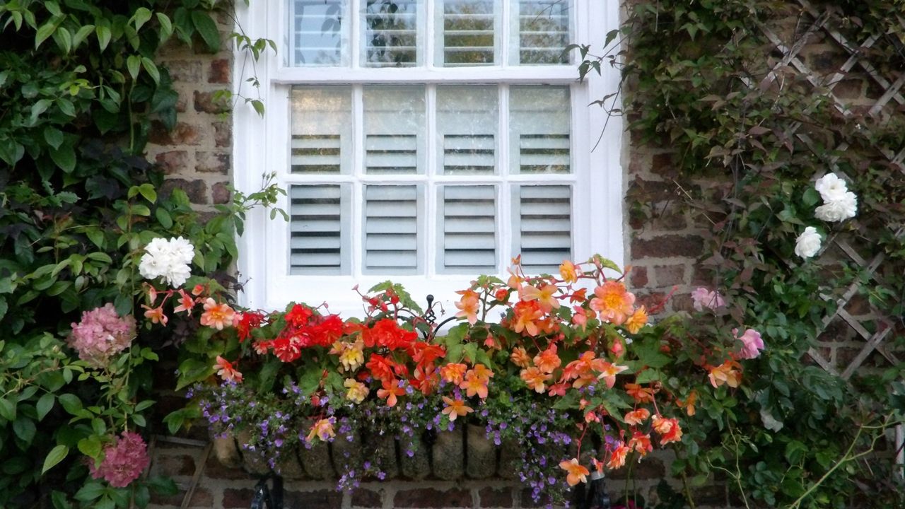 Images taken with the Kodak Pixpro AZ653