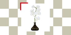 An orchid-shaped diffuser