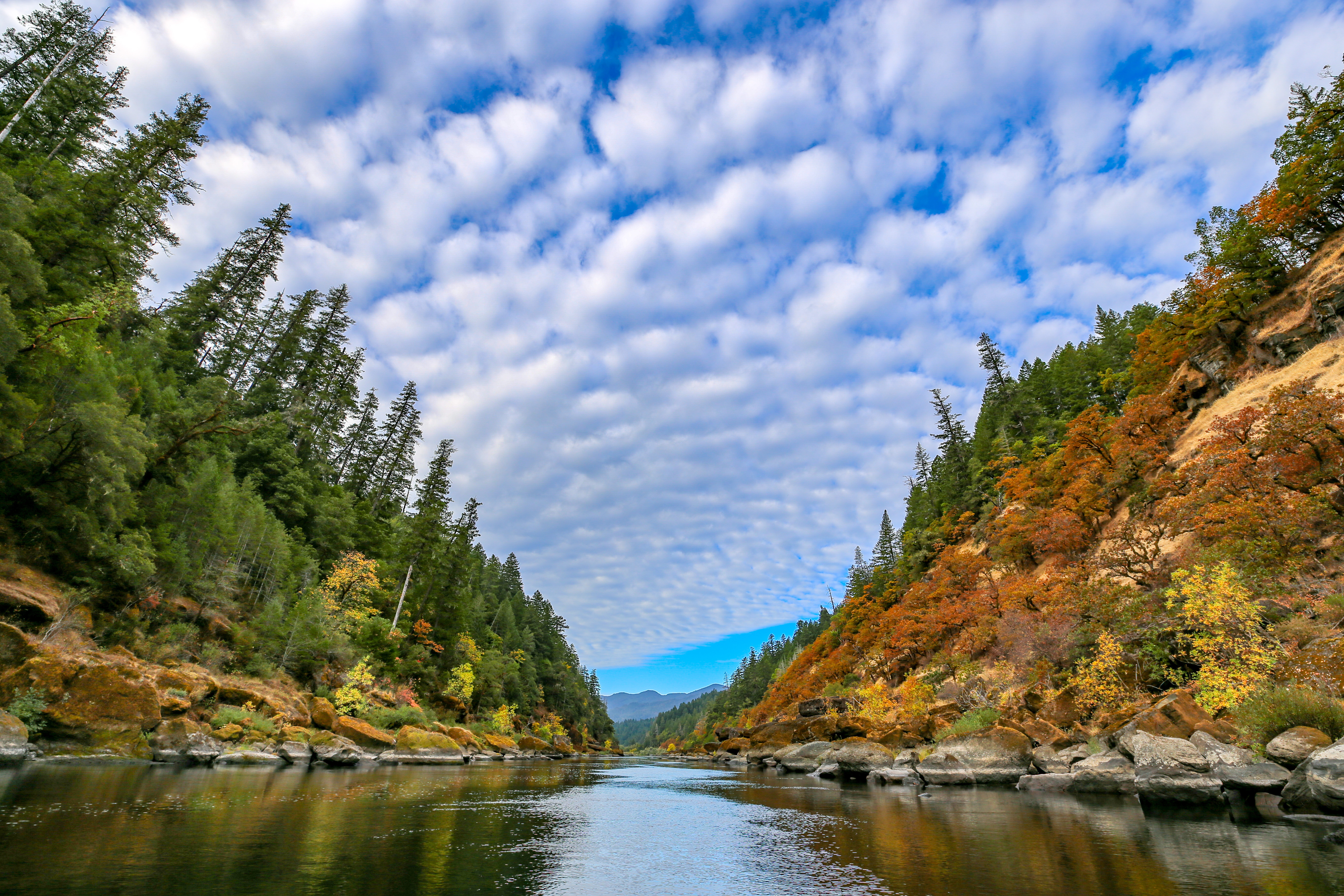 The Rogue Wild and Scenic River in Oregon