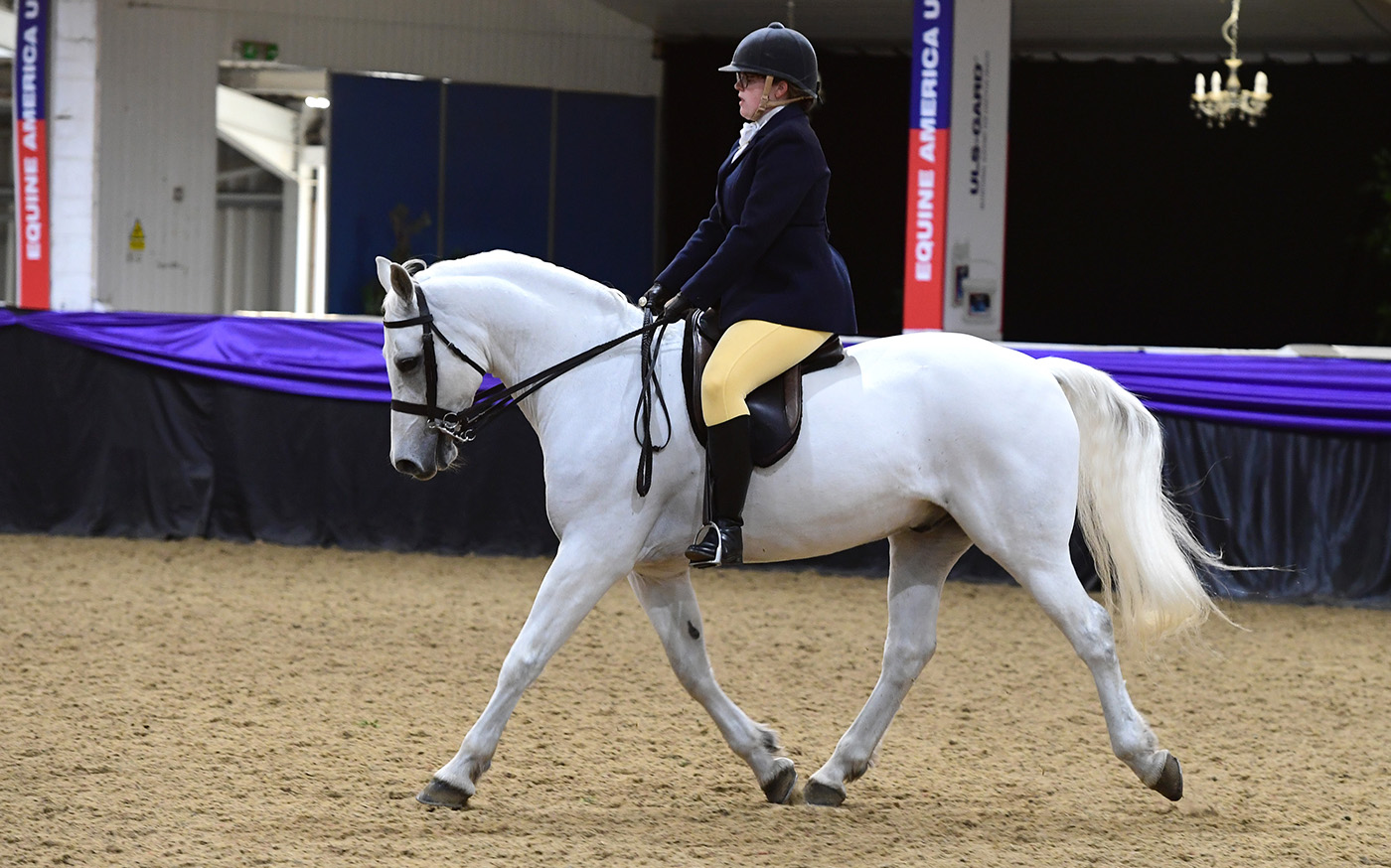 Heritage Show 16.10.22Overall Heritage Supreme Champs.No. 259 Inverin Paddy