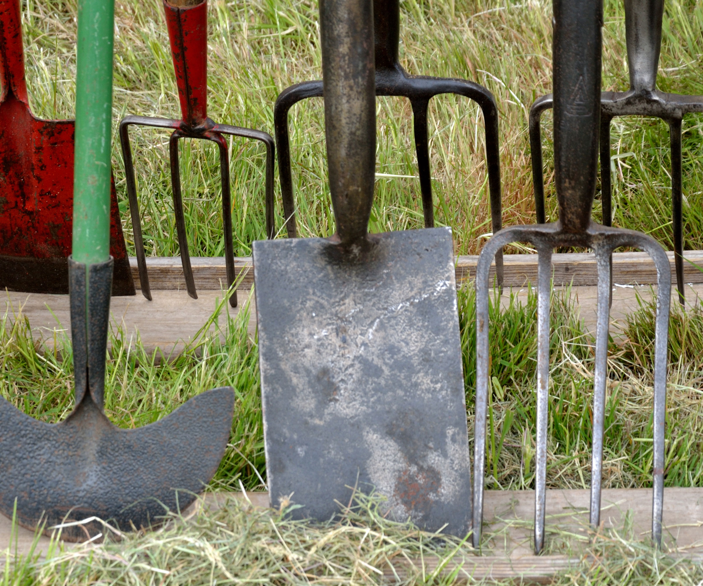 spades, shovels and garden forks propped up on garden lawn