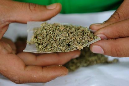 Recreational marijuana use will be legal in California.