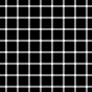 scintillating grid optical illusion