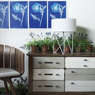 botanical space with storage drawers