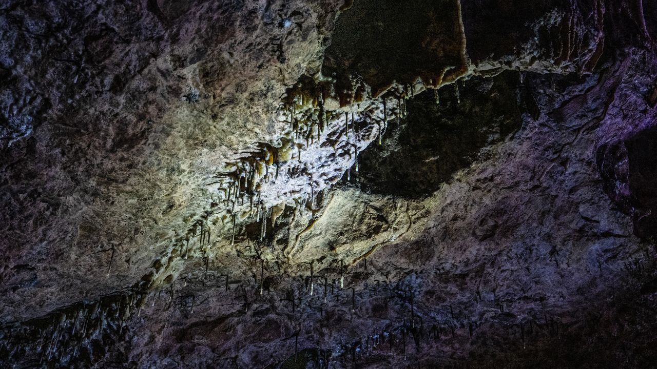 Tiny, needle-like stalactites that are roughly 10cm in length