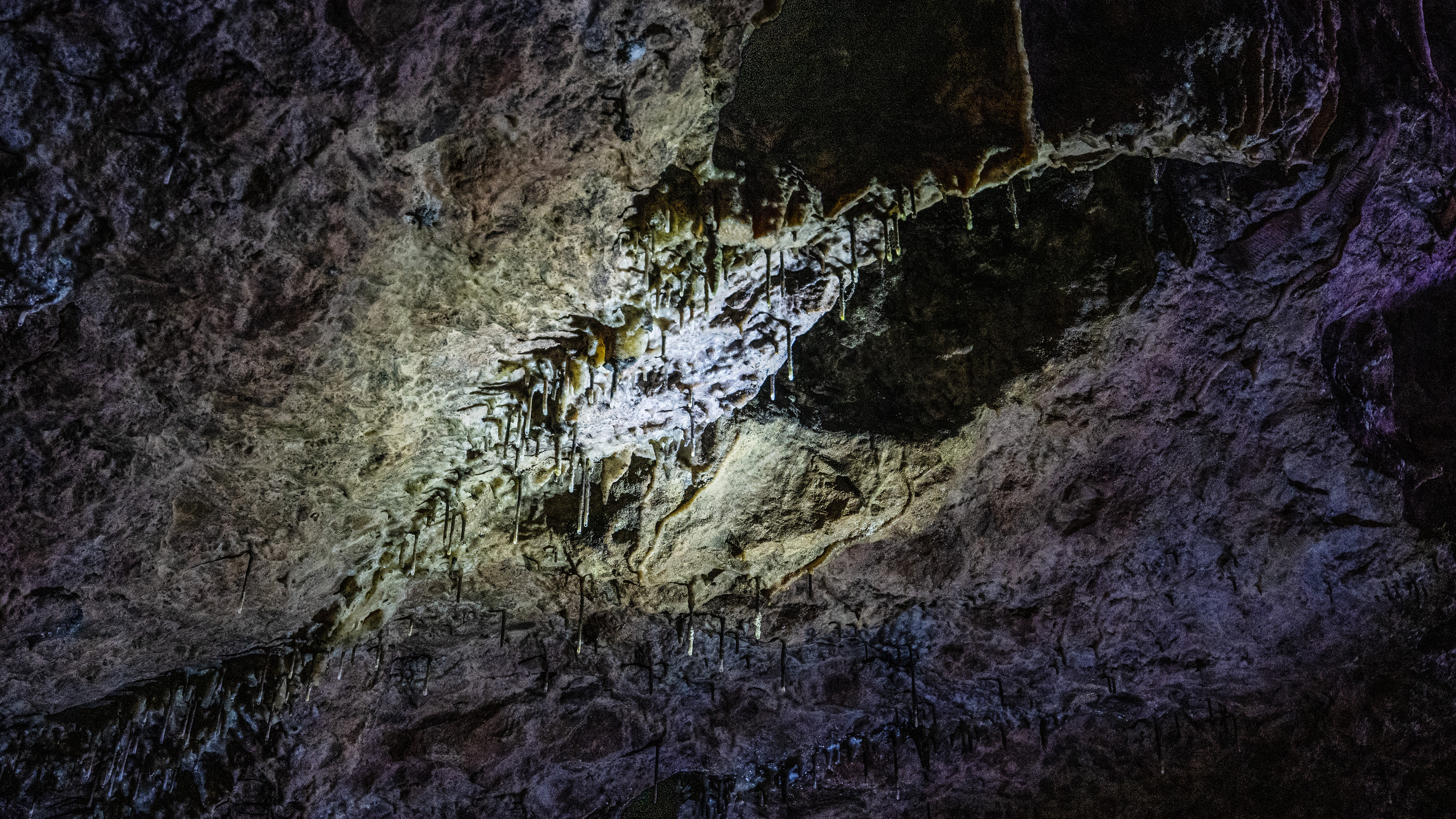 Tiny, needle-like stalactites that are roughly 10cm in length