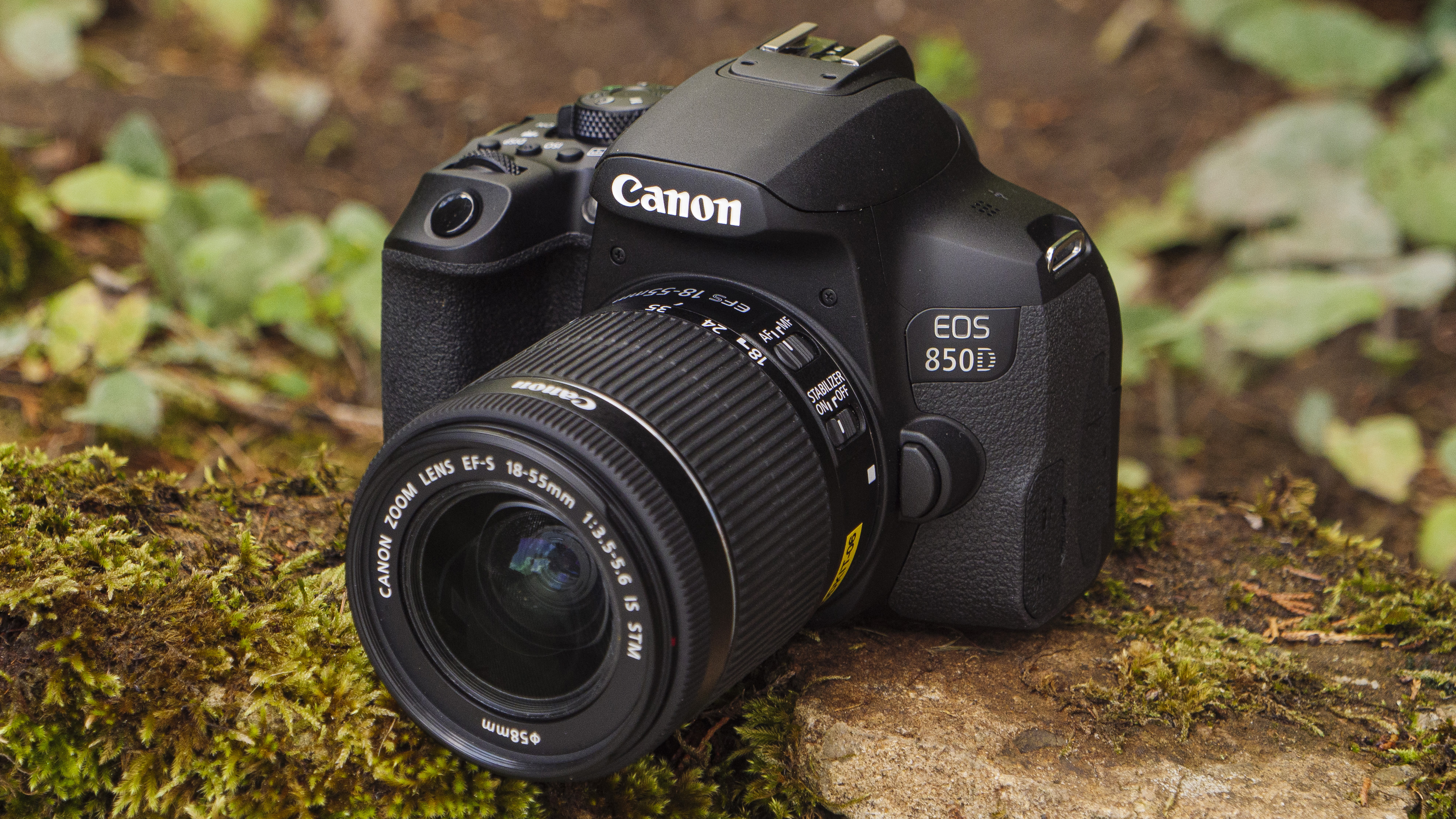 best DSLR camera Canon EOS Rebel T8i / 850D surrounded by greenery