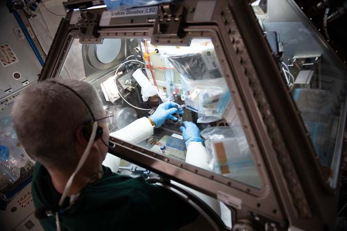expedition 65