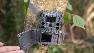 The Bushnell Core S-4K No Glow trail camera mounted on a woodland tree