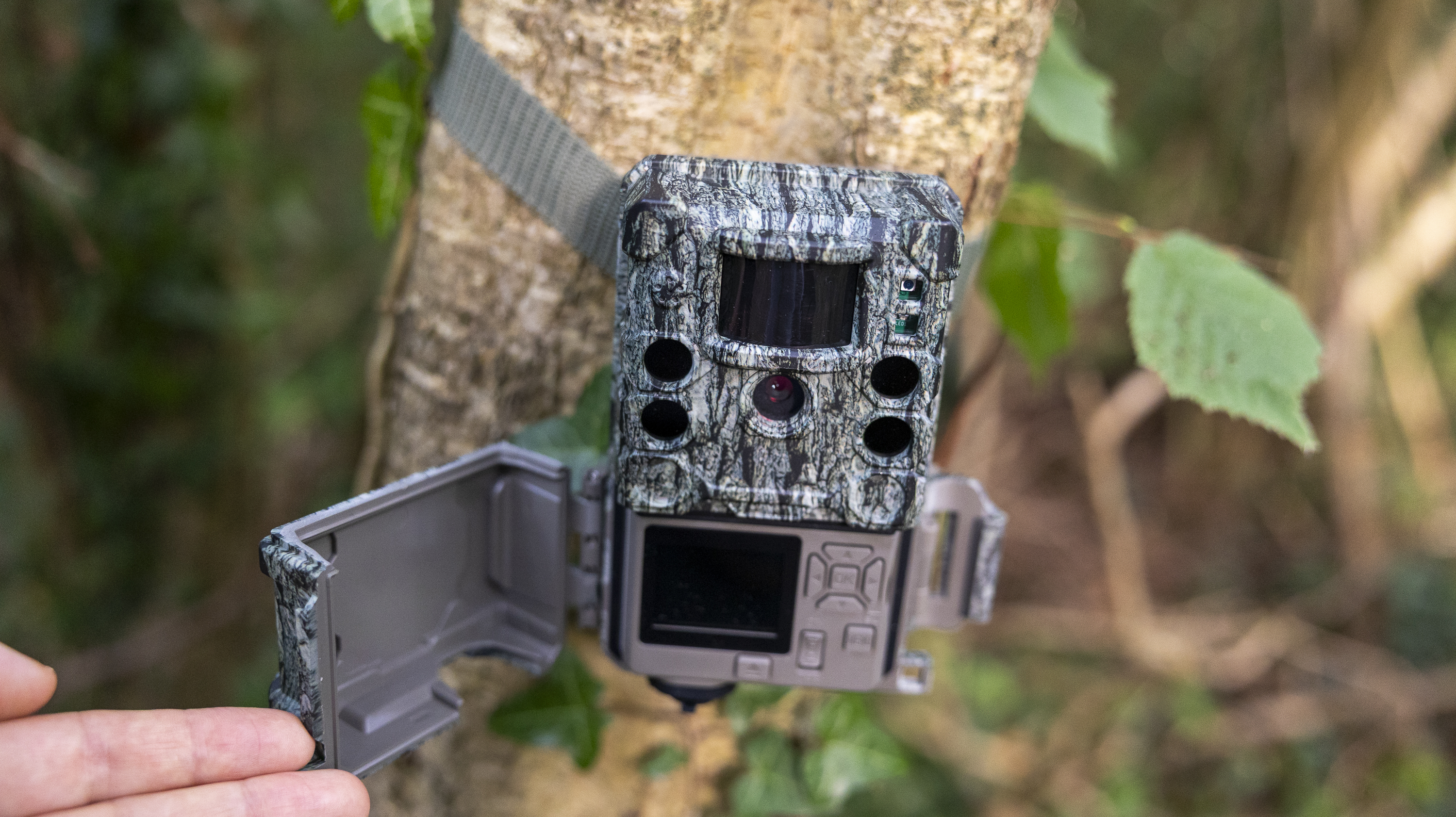 The Bushnell Core S-4K No Glow trail camera mounted on a woodland tree