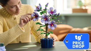 Person building a Lego Botanicals Hibiscus set
