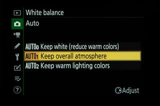 Nikon menu screen for white balance tutorial