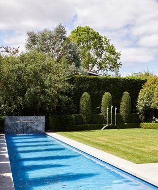lap pool with lawn, hedge and topiary