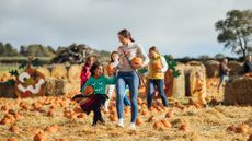Parents and children walking through a field of pumpkins at Halloween