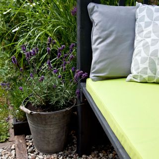 garden with lavender plant and yellow cushioned black bench