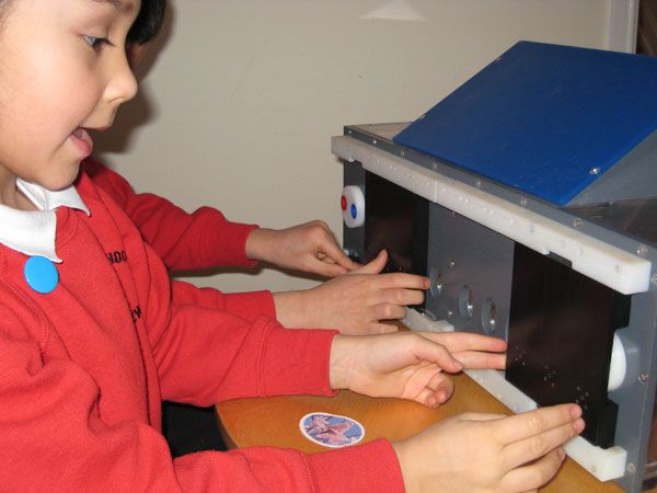 Children received stickers as a reward from the puzzle box. When trying to solve the box&#039;s three levels, children taught and imitated each other and shared the rewards. Monkeys and chimpanzees did not. 