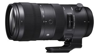 Best Nikon lens: Sigma 70-200mm f/2.8 DG OS HSM | S