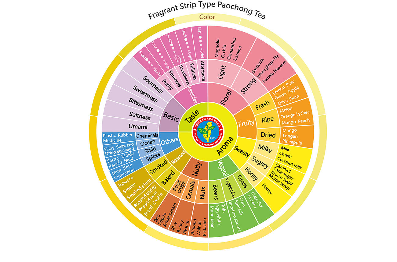 Fragrant-strip-type-paochong-tea-flavour-wheel.jpg