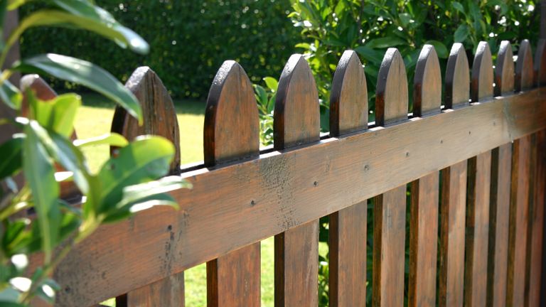 A wooden fence in a sunny backyard