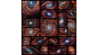 A mosiac of 19 JWST images of spiral galaxies