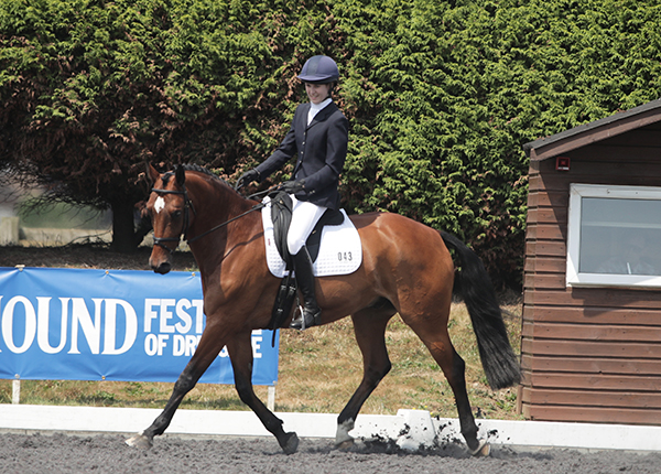 Louise Hoffmann Wonderboy
