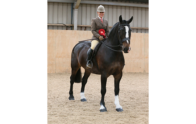 Maxi cob class Winner&amp;#8232;22 BOSS MURPHY R: DANIELLE HEATH