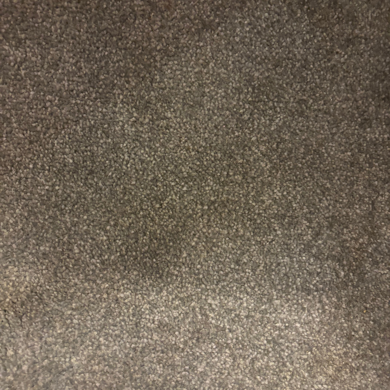 Grey carpet after using the Gtech Koala Spot Cleaner