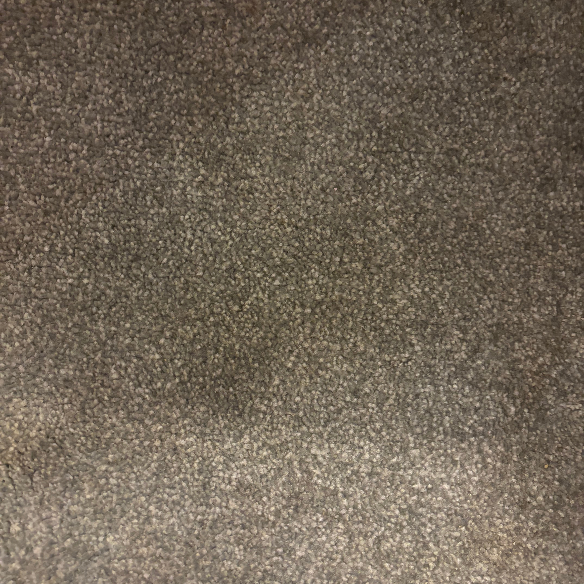Grey carpet after using the Gtech Koala Spot Cleaner 
