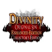 Divinity: Original Sin: Enhanced Edition - Collector's Edition (PC)
